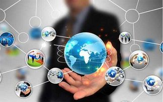 河北帝佑科技 计算机系统集成企业网络营销实战指南